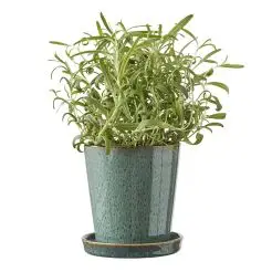 BITZ skjuler med underskål - grøn/sort - 10 cm - 