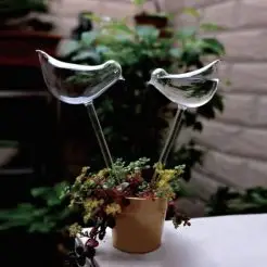 Selvvandingsfugle - 2 stk - 