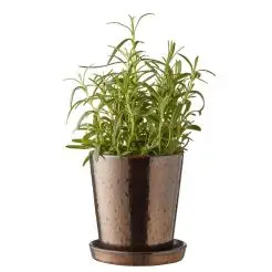 BITZ skjuler med underskål - sort/bronze - 10 cm - 