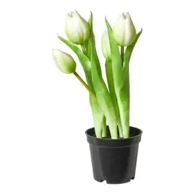 DACORE Tulipaner i potte - hvid - PYNT & FIGURER