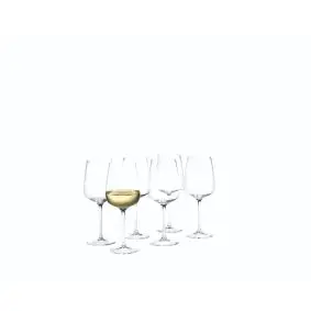 HOLMEGAARD Bouquet hvidvinsglas 41 cl - 6 stk - GLAS