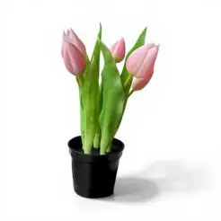 DACORE Tulipaner i potte - rosa - 