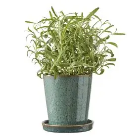 BITZ skjuler med underskål - grøn/sort - 10 cm - MÅNEDSTILBUD